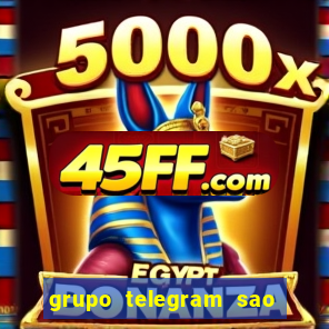 grupo telegram sao jose do rio preto